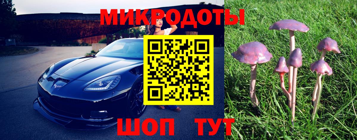 Псилоцибиновые грибы Magic Shrooms Новодвинск