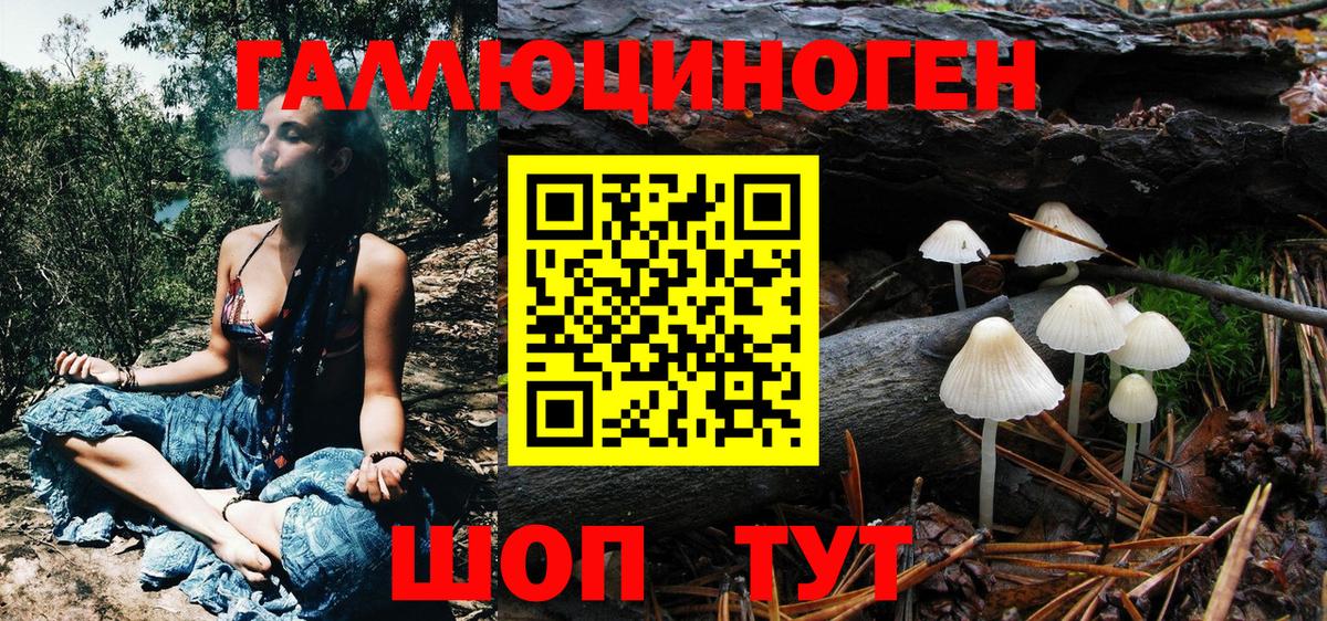 Псилоцибиновые грибы MAGIC MUSHROOMS  Галлюциногенные грибы Magic Shrooms  Новодвинск  Вход с VPN 